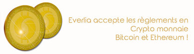 bitcoin cryptomonnaies conteneur
