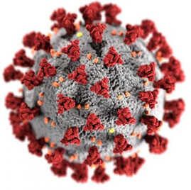 virus viral contamination container