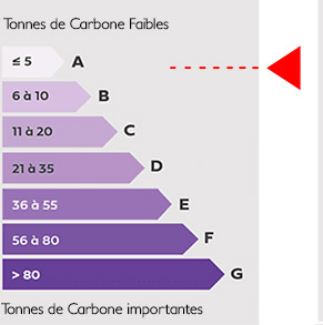 Carbone maison container